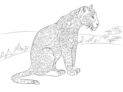 kolorowanka Jaguar