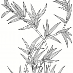 Bamboo Plant