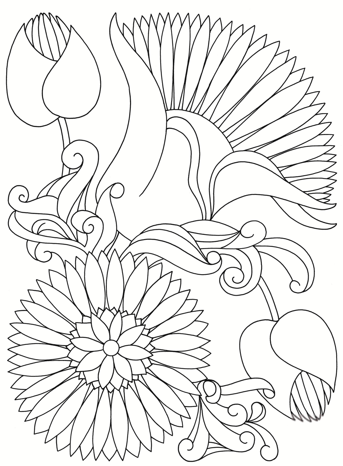 Abstract Flowers