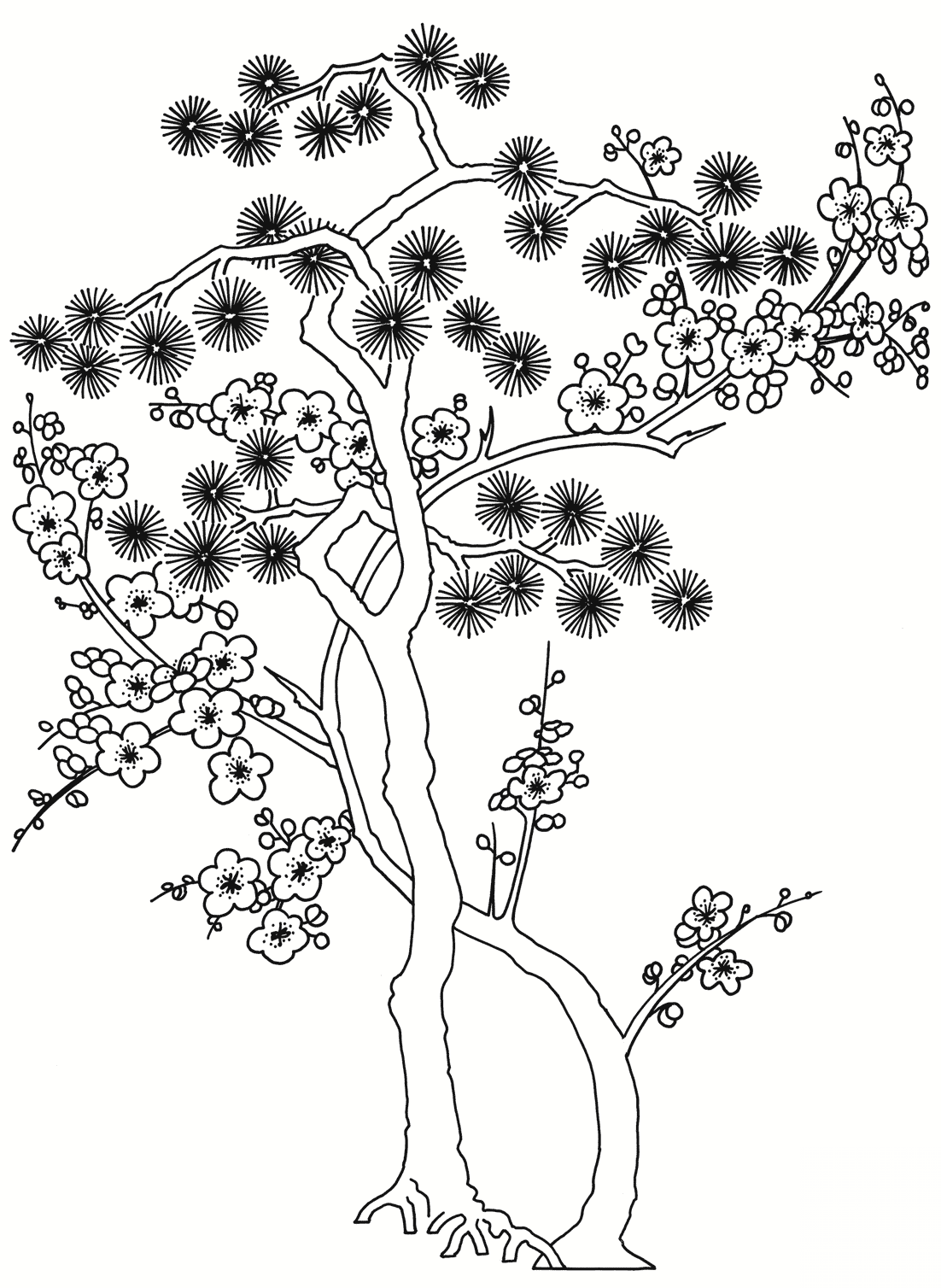 Pine Tree Print