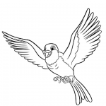 Robin from Sofia the First