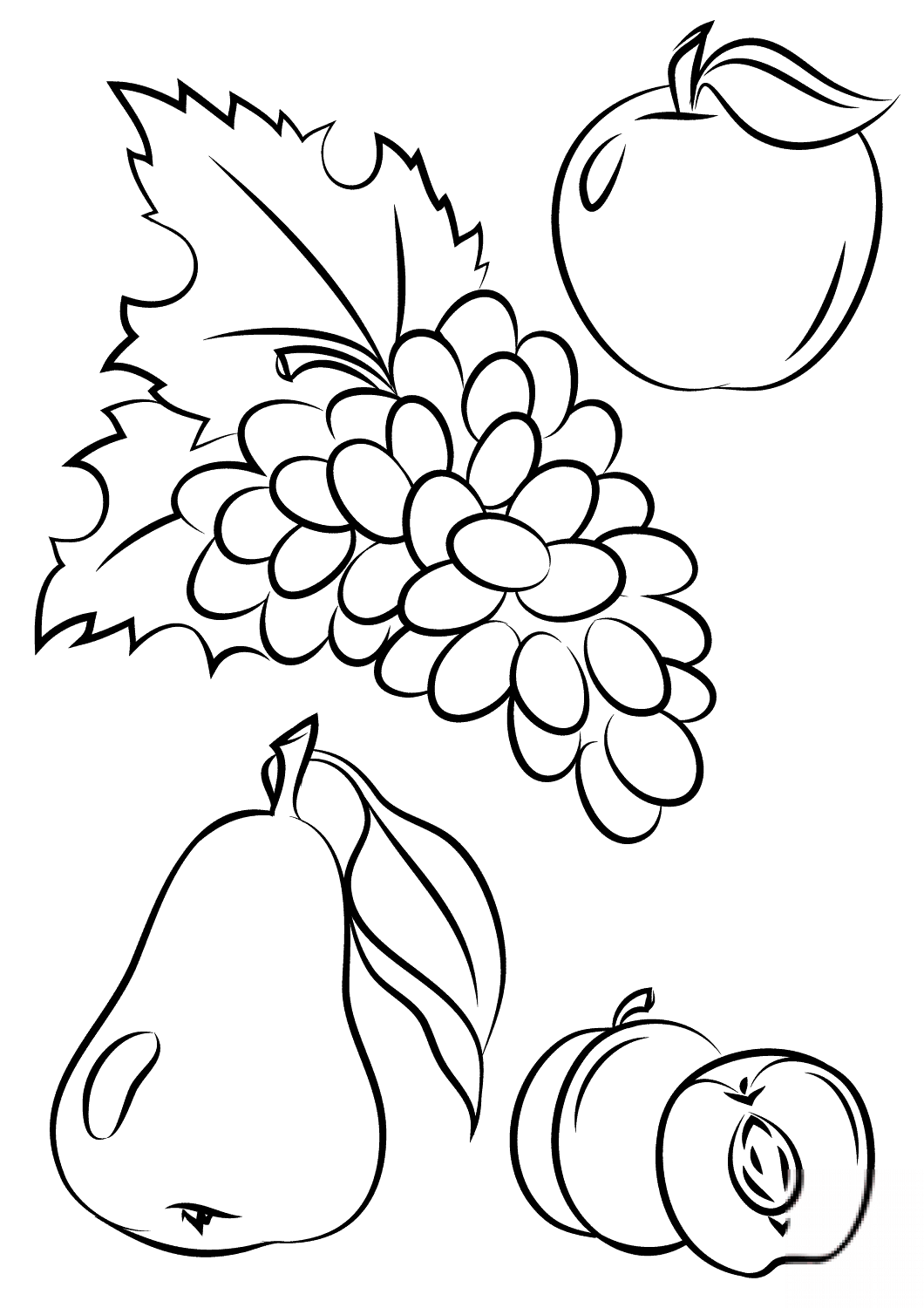 Autumn Fruits