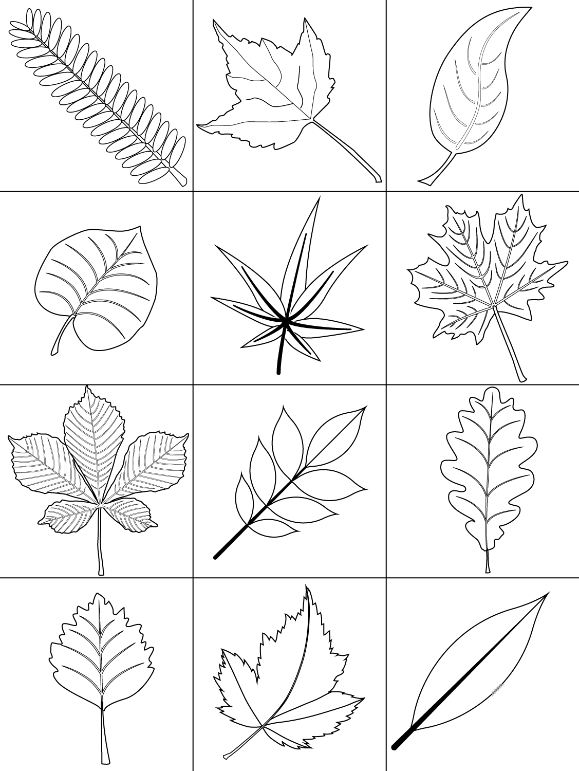 Autumn Leaves