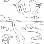 Autumn Scene with Swans