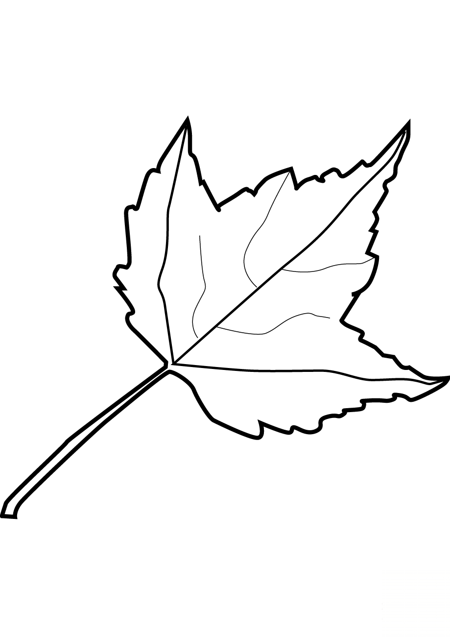 Liść klonu
