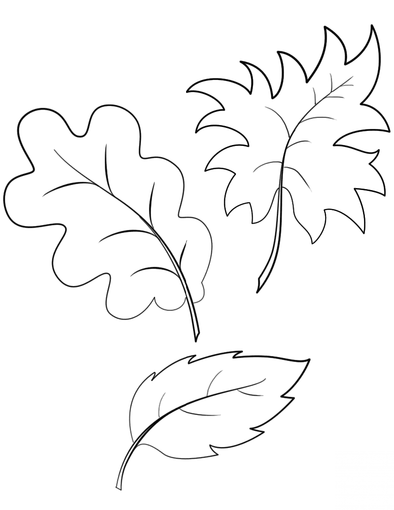 Fall Autumn Leaves