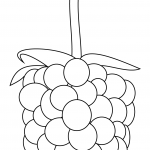Jeżyna