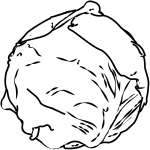 Kapusta