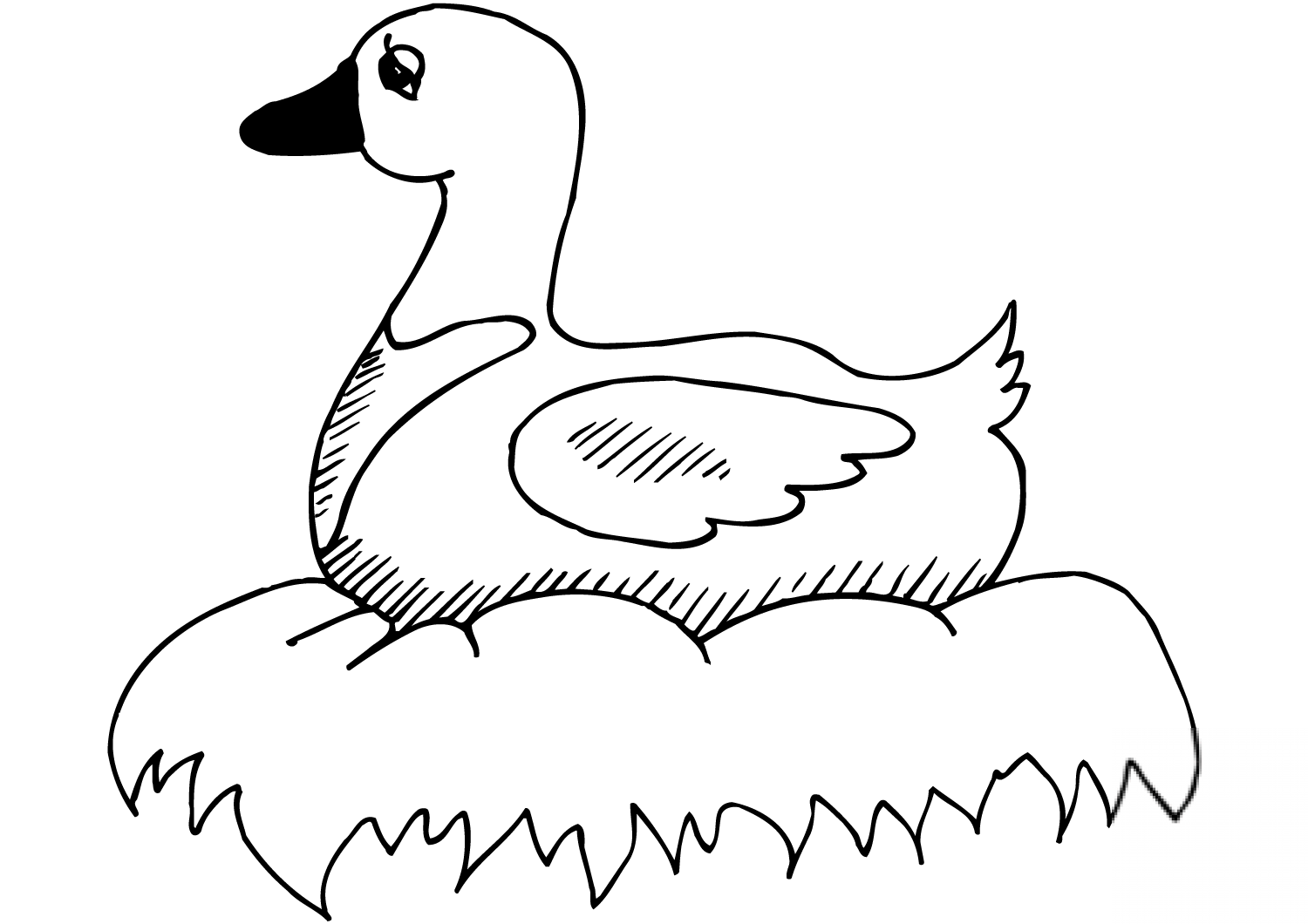 Duck on Nest