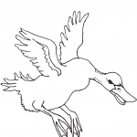 Flying Duck