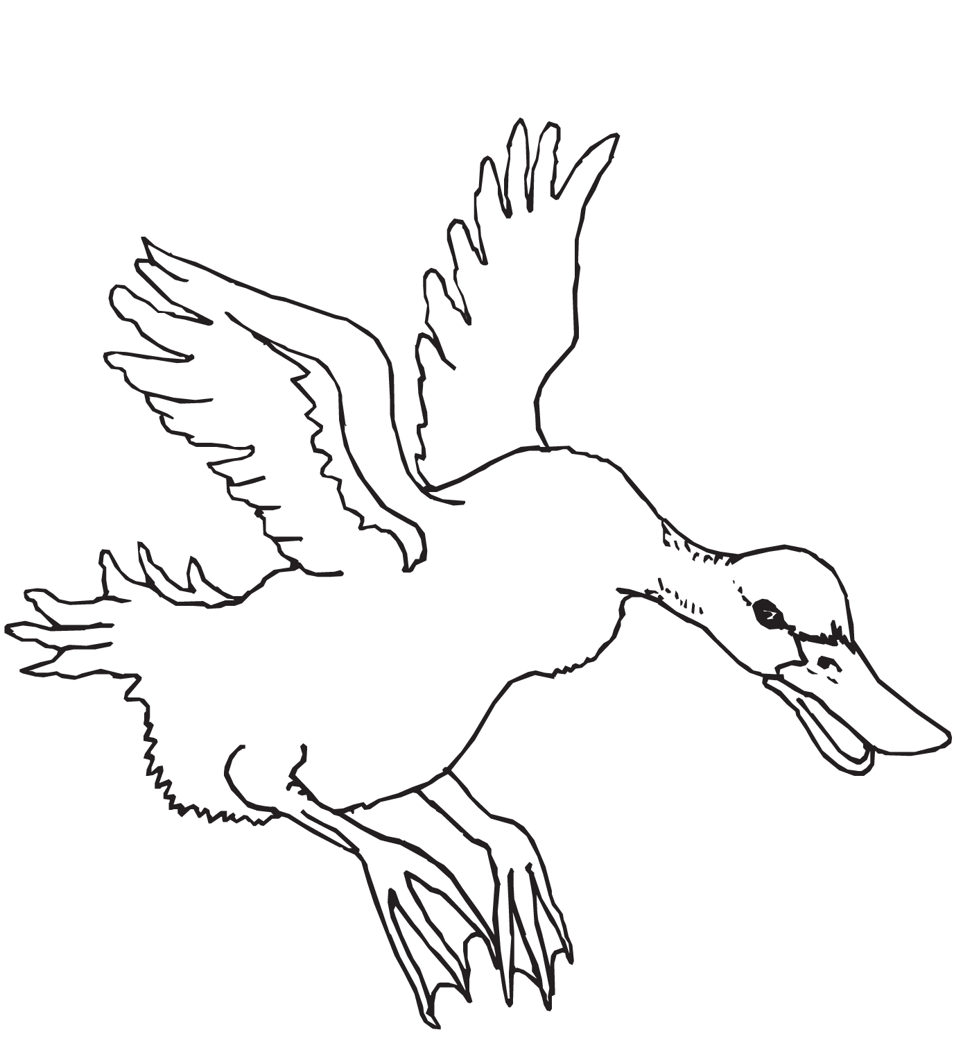 Flying Duck