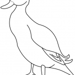 Kaczka