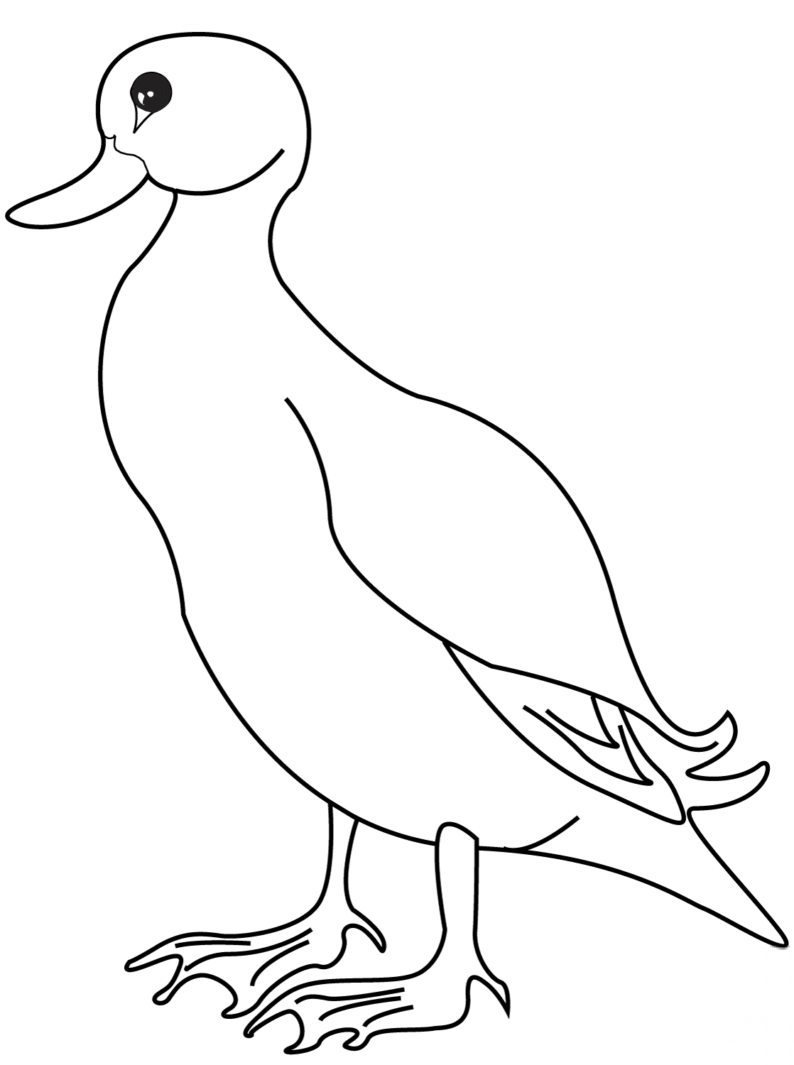 Kaczka