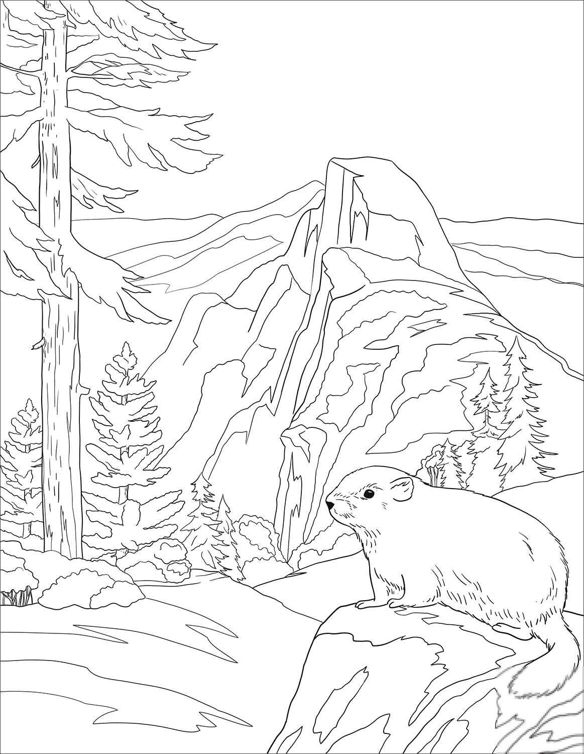 Park Narodowy Yosemite
