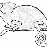 Kameleon