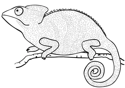 kolorowanka Kameleon