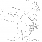 Kangur rudy z dzieckiem