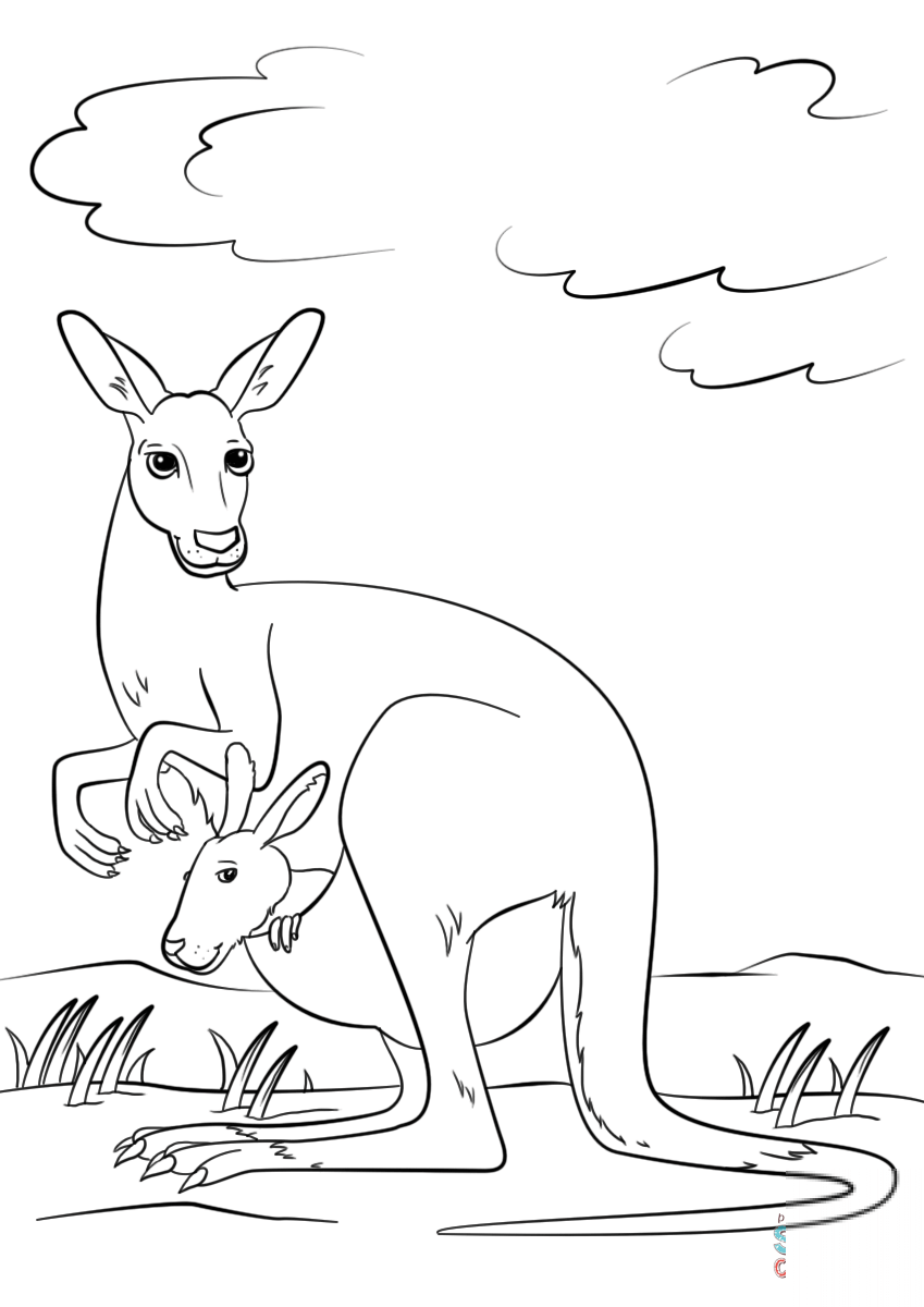Cute Kangaroo with Baby in Pouch