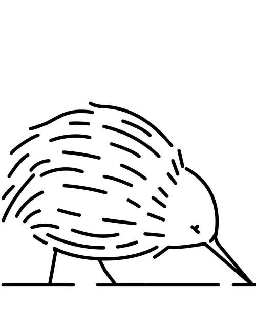 kolorowanka Kiwi