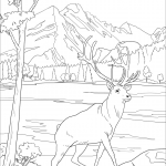 Park Narodowy Gór Skalistych