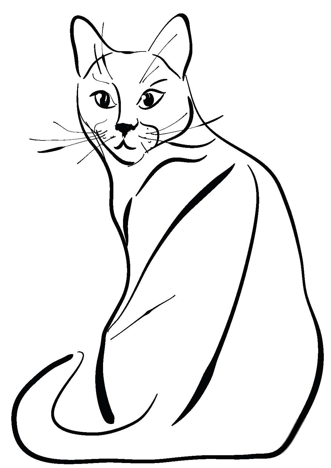 Sitting Cat