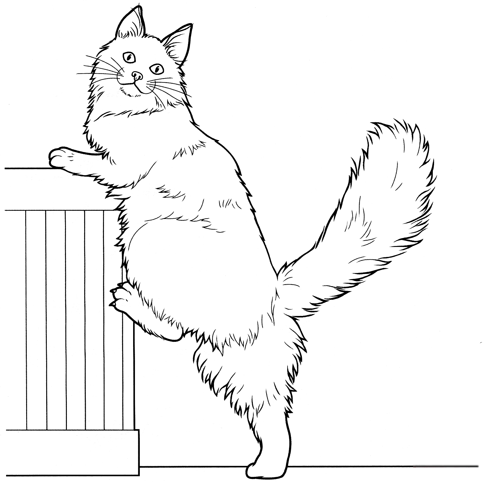 Mainkun