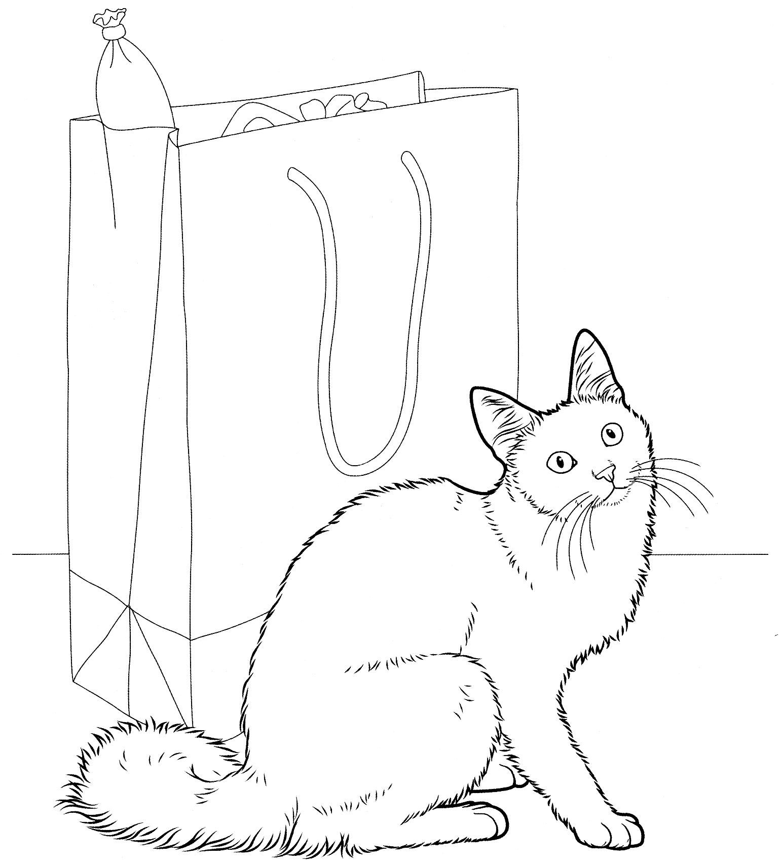 Angora turecka