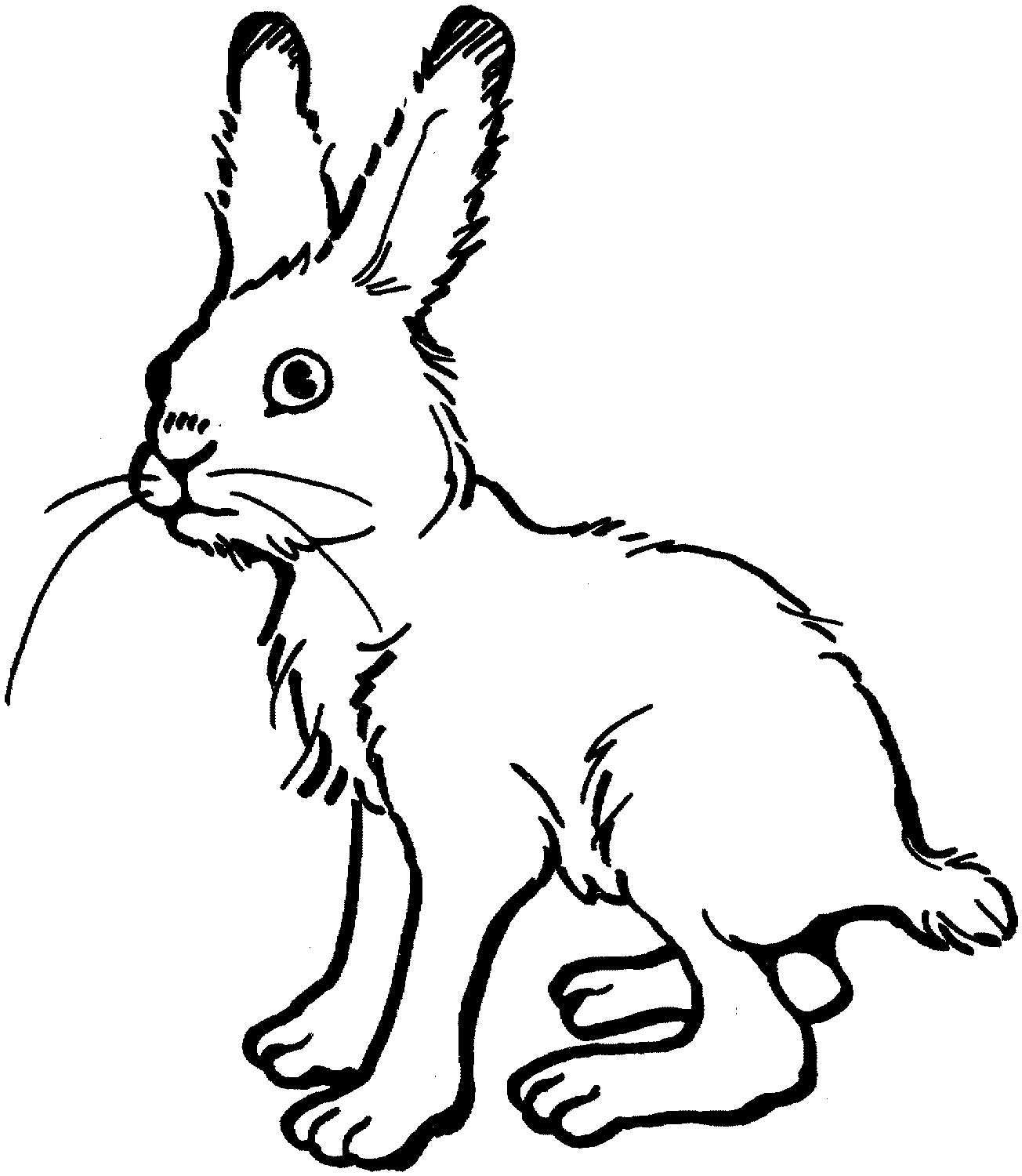 Króliczek
