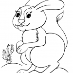 Królik i kaktus Saguaro