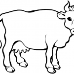 Krowa mleczna