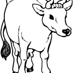 Byk