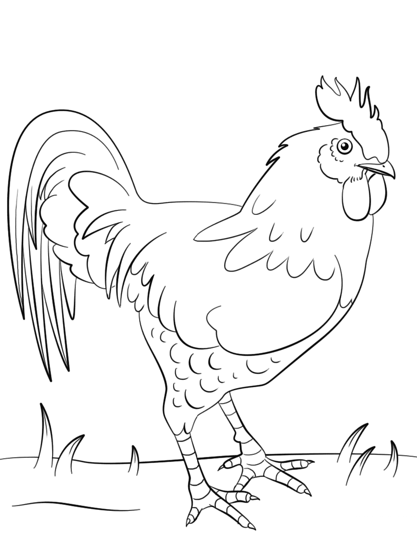 Kogut