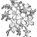 Dog Rose Flowers