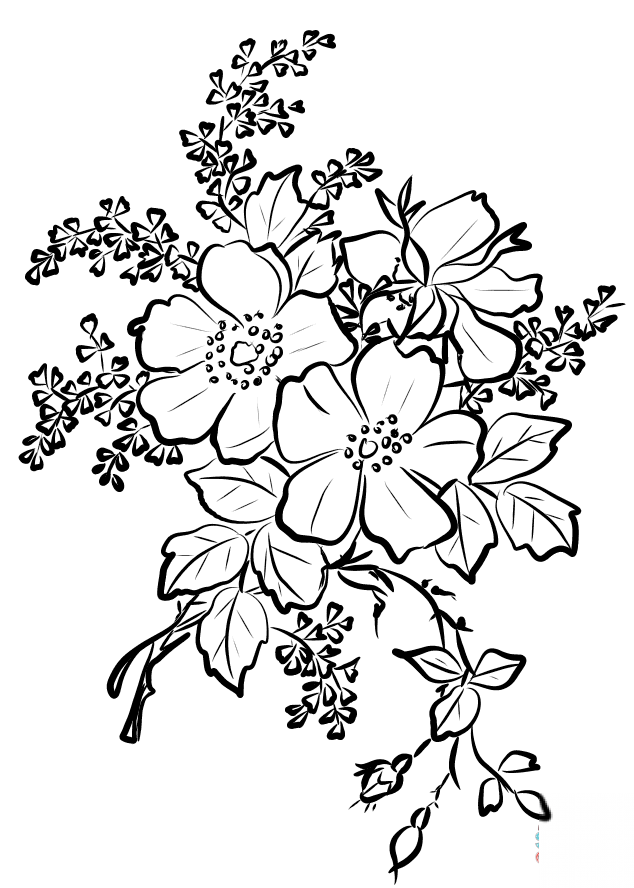 Dog Rose Flowers