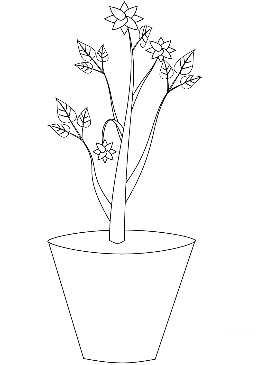 Flowers in a Pot