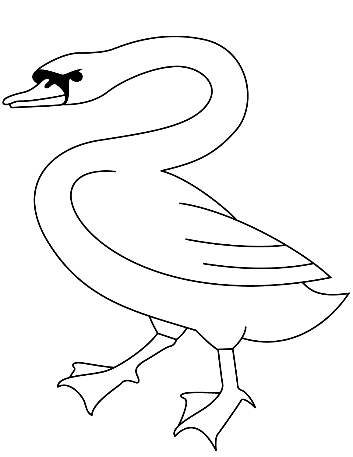 Idący łabędź