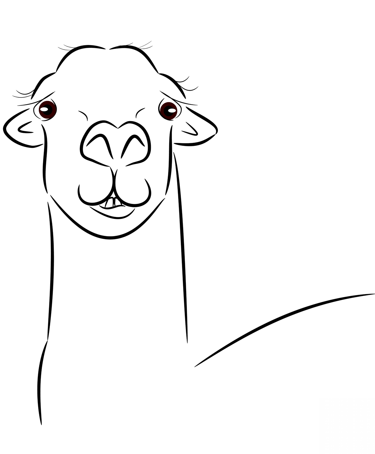 Llama Head
