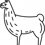 Lama