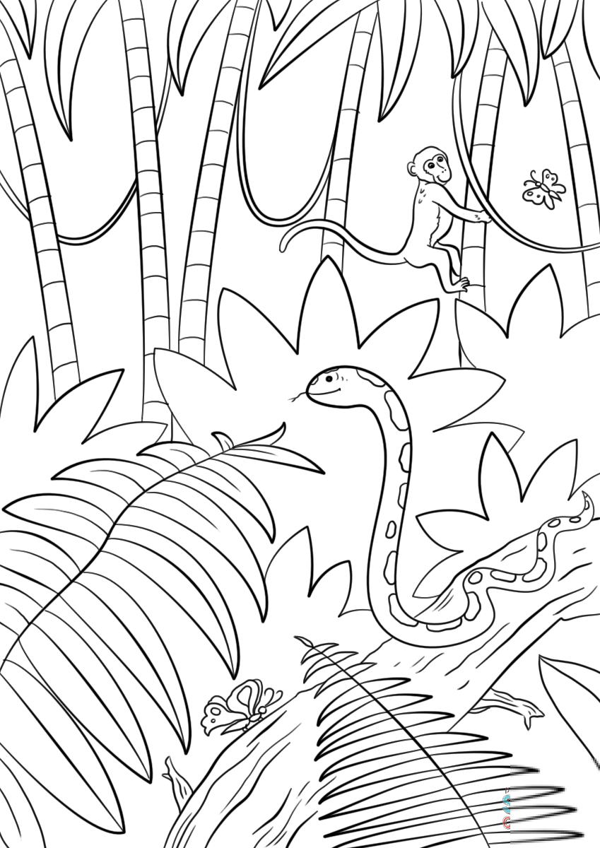 Jungle Scene