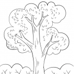 Summer Tree