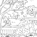 Summer Garden