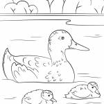 Duck with Ducklings