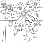 Summer Flowers