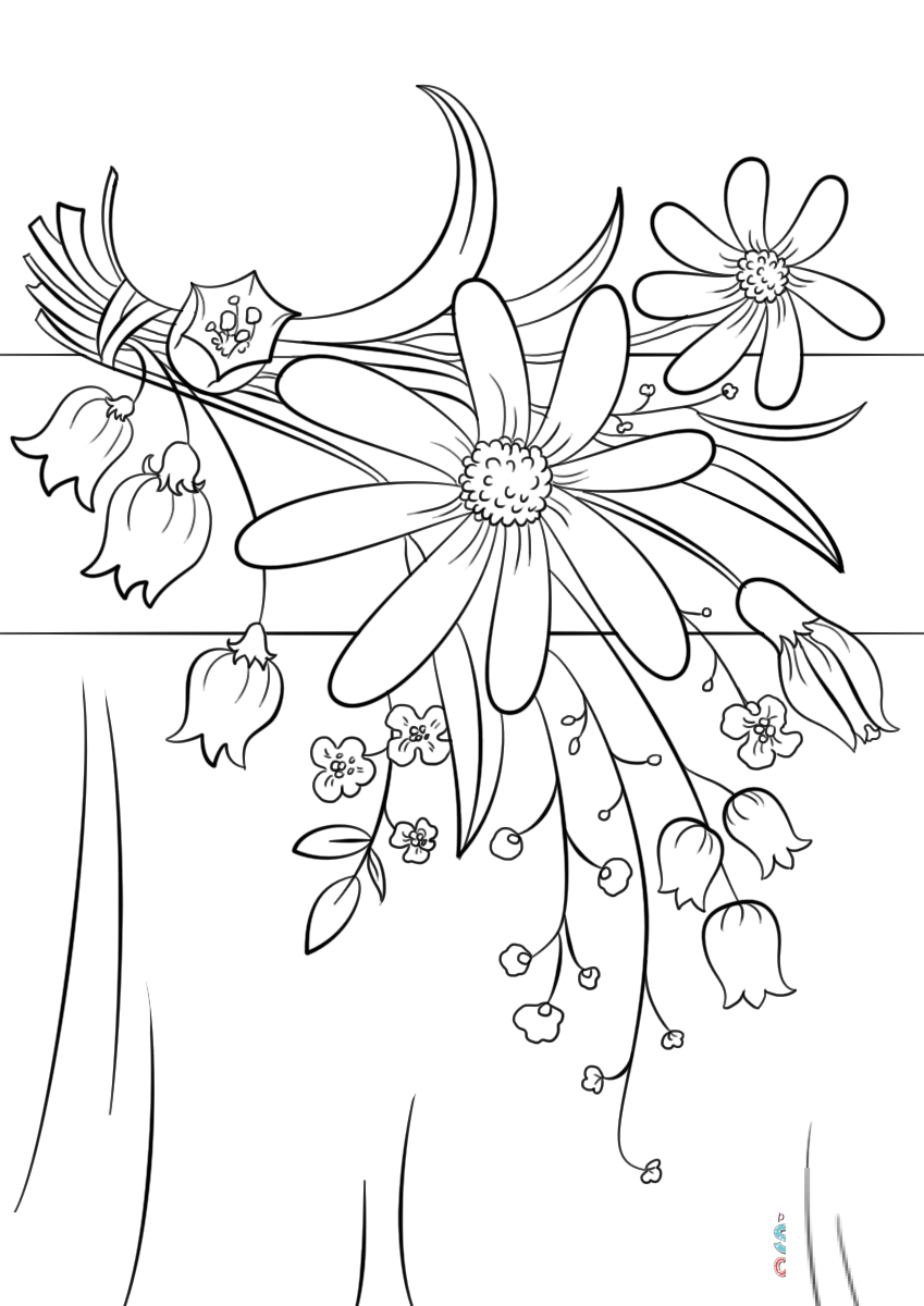 Summer Flowers