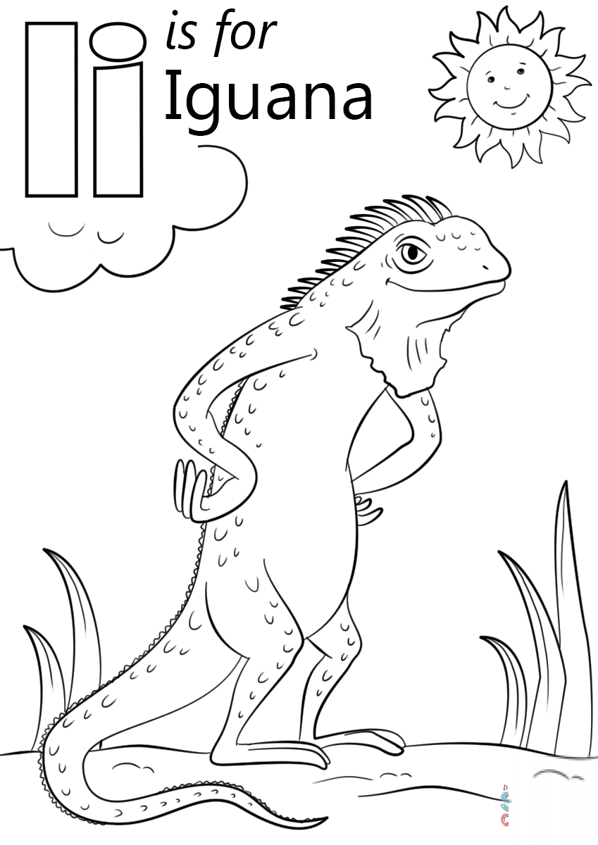 Letter I is for Iguana