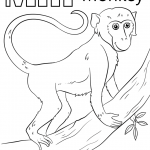 Letter M is for Monkey