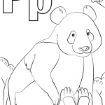 P is for Panda