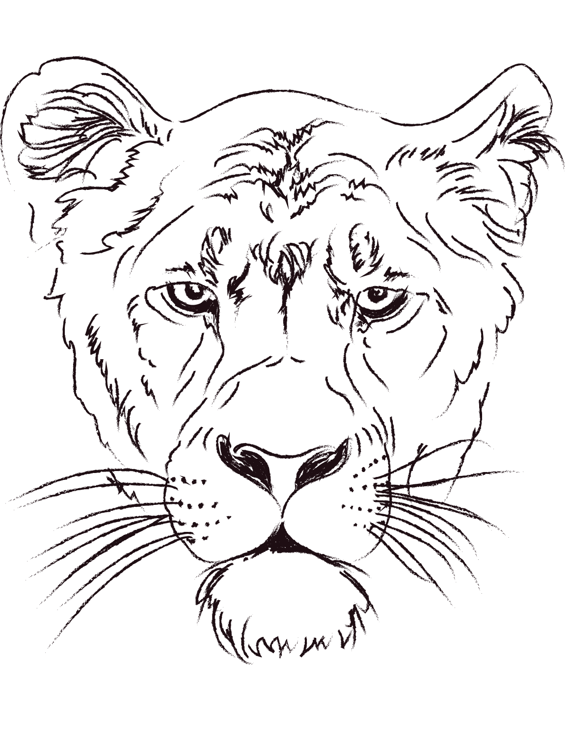 Lioness Head