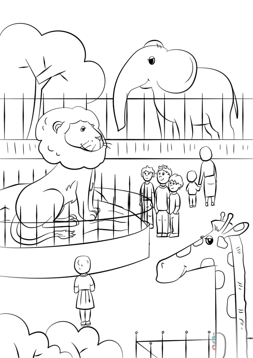 Zoo Animals