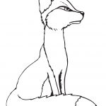 Young Red Fox